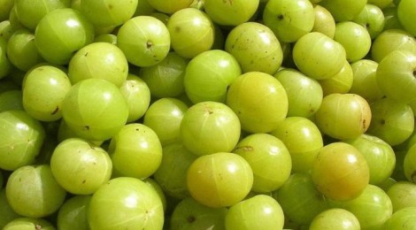amla