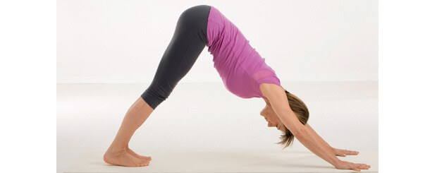 Posizione Del Cane A Testa In Giù 1 Shankarait