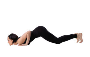 knees chest and chin