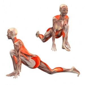 18a1f3b6539820c0a3f5aad471257370