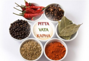 vata pitta kapha