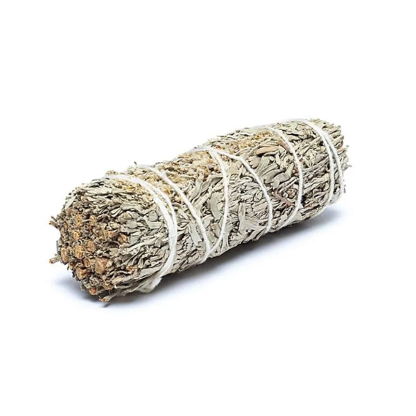 Salvia Blu (Shasta) Bastone 30 g - 10cm