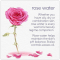 Gulab Jal - Acqua di rose Premium, 100ml