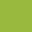 cinghia strap verde